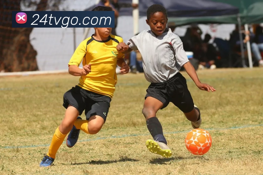 多媒体互动体验